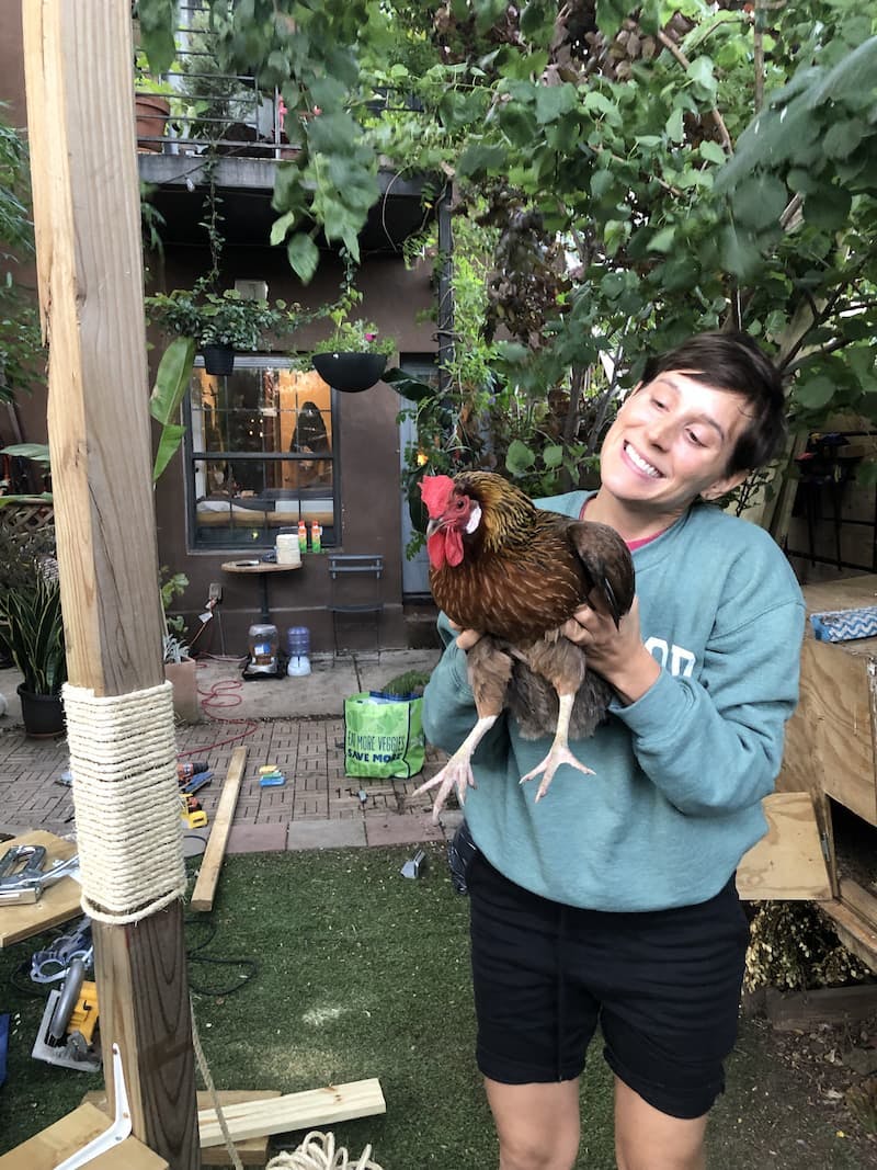 Carla and Peter Carlos, the most resilient chicken I will ever know, hard at work building Ghost's massive outdoor cat ladder